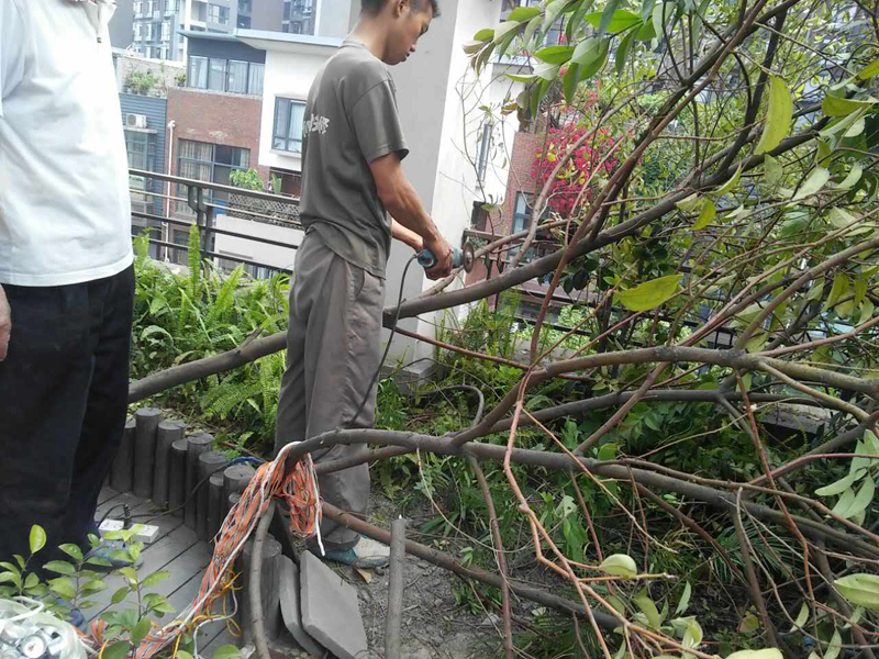 屋頂花園怎么裝修，樓頂花園裝修注意事